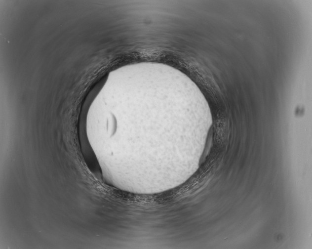 X0000098231249200805151332