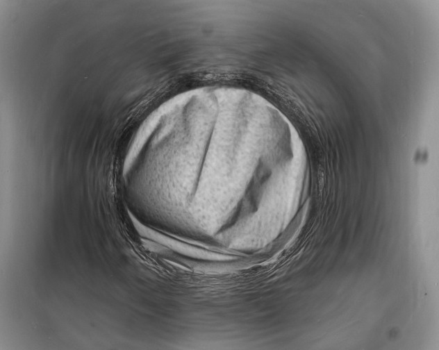 X0000098231250200805151332