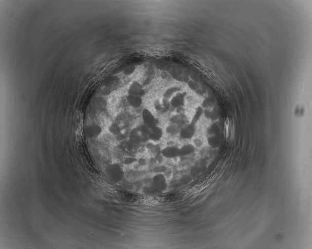 X0000098231251200805151332