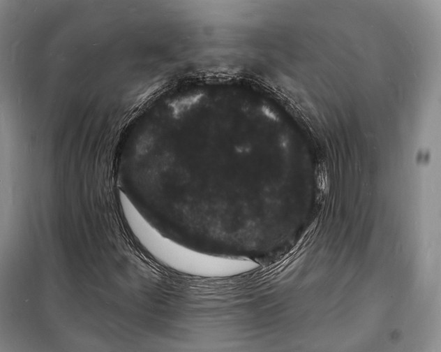 X0000098231252200805151332