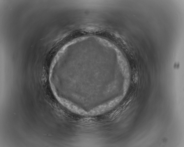 X0000098231253200805151332