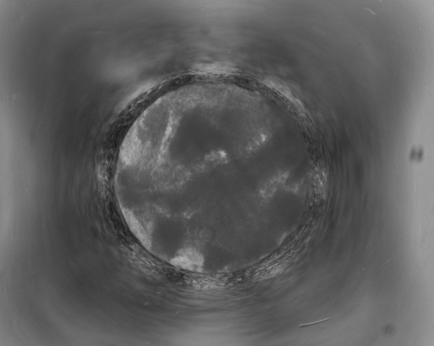 X0000098231254200805151332