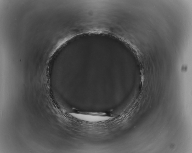 X0000098231256200805151332