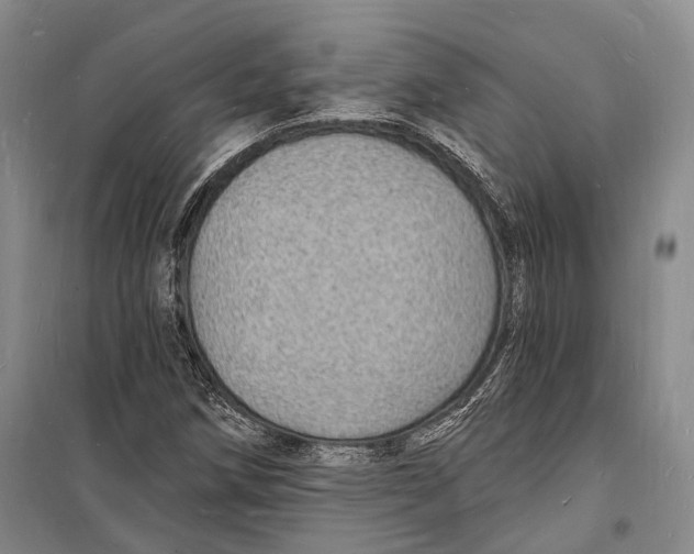 X0000098231258200805151332