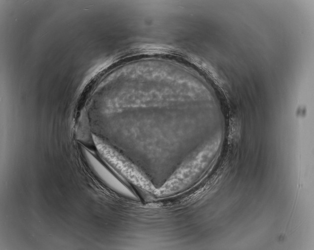 X0000098231261200805151332