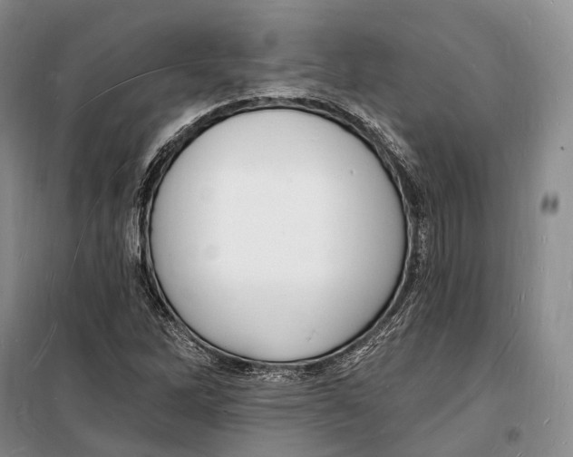 X0000098231262200805151332