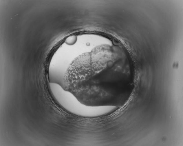 X0000098231263200805151332