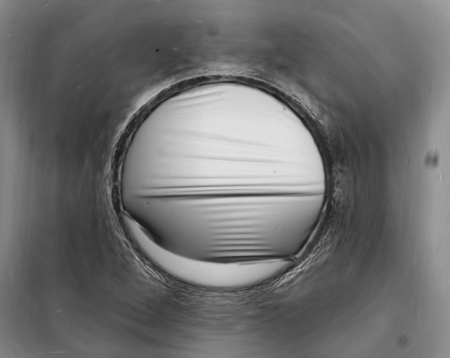 X0000098231264200805151332