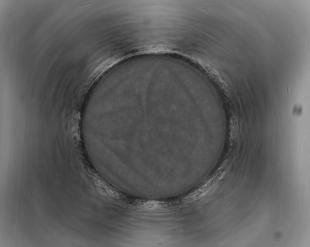 X0000098231265200805151332