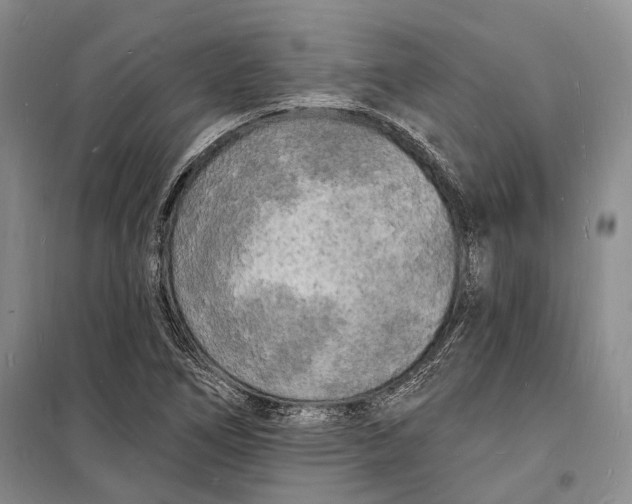 X0000098231266200805151332