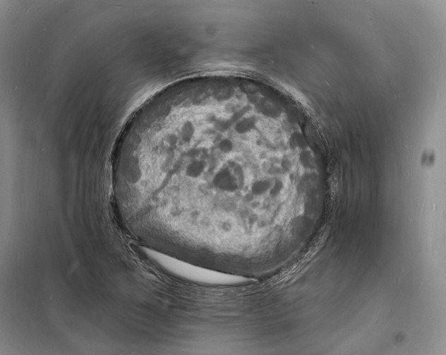 X0000098231267200805151332