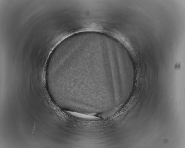 X0000098231268200805151332