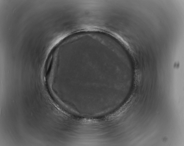 X0000098231269200805151332