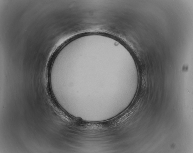 X0000098231270200805151332