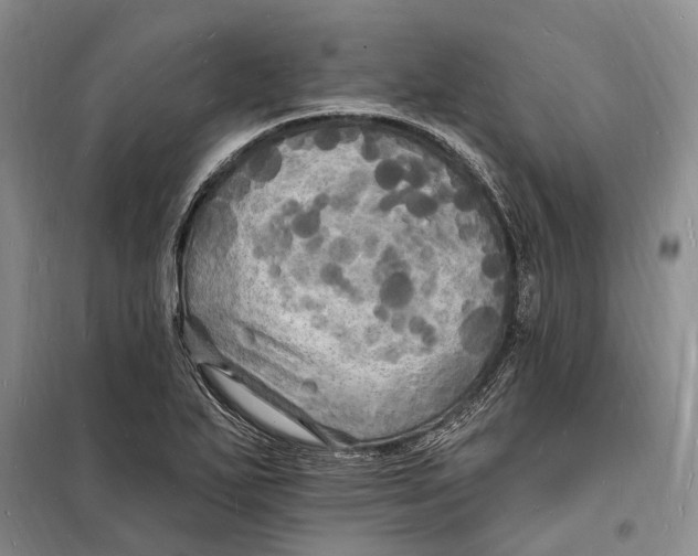 X0000098231271200805151332