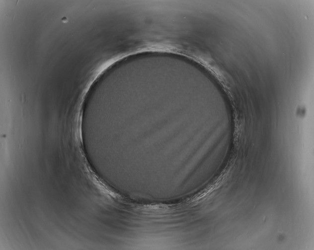 X0000098231272200805151332