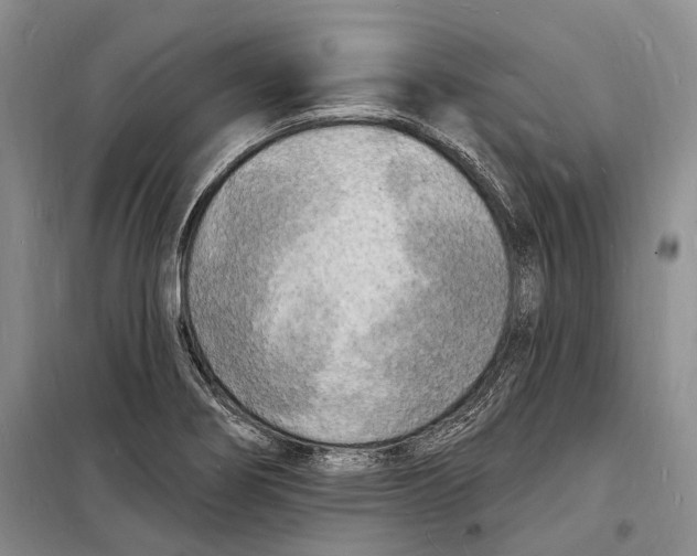 X0000098231274200805151332