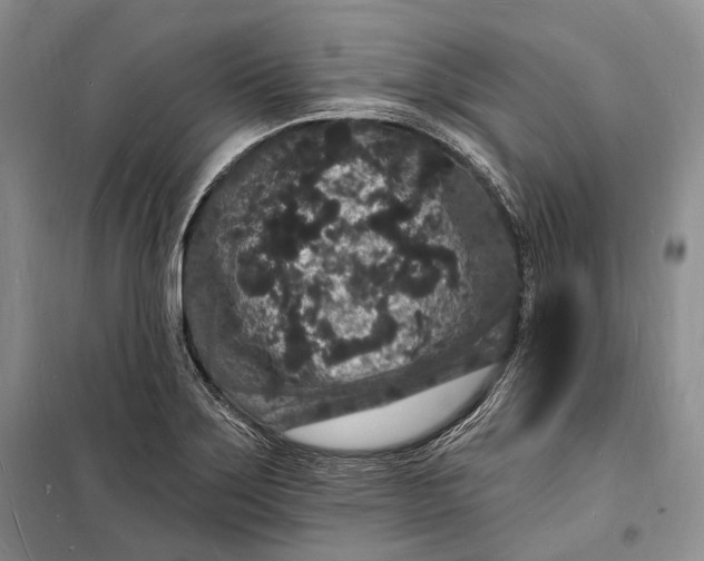 X0000098231275200805151332