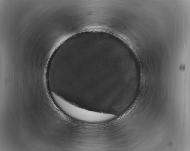 X0000098231277200805151332