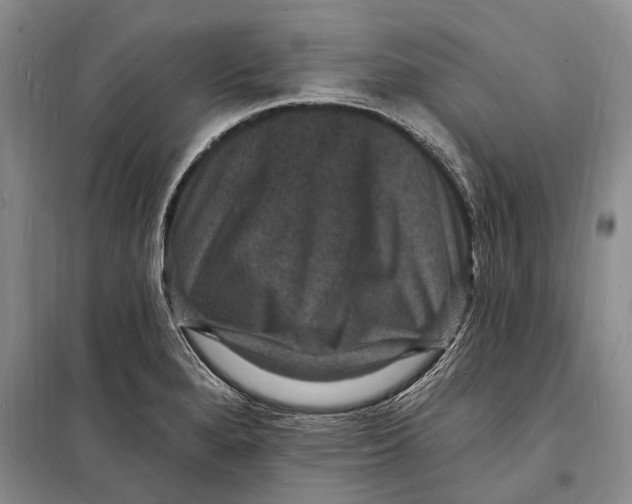 X0000098231280200805151332