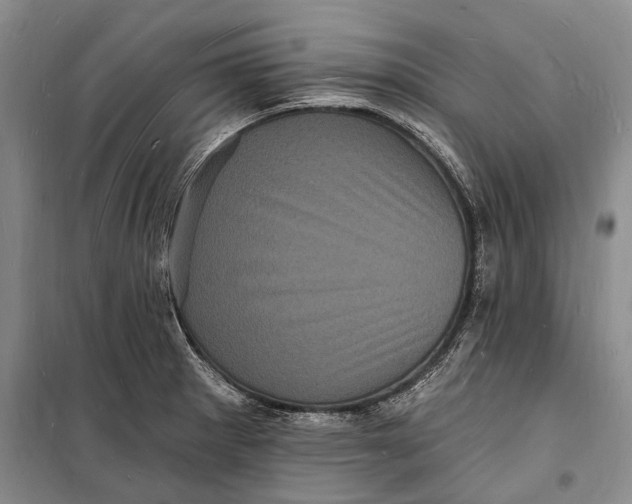 X0000098231281200805151332