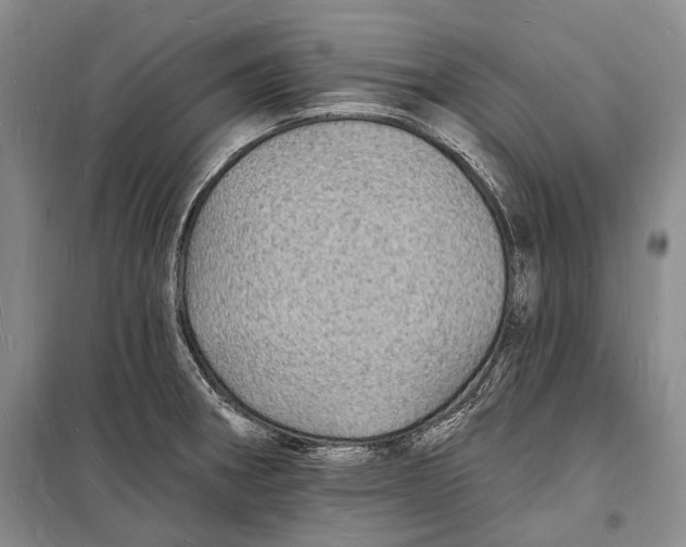 X0000098231282200805151332