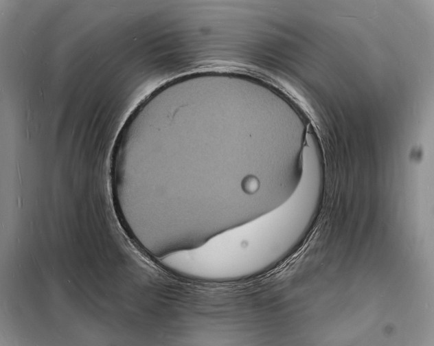 X0000098231283200805151332