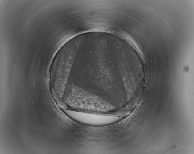 X0000098231284200805151332