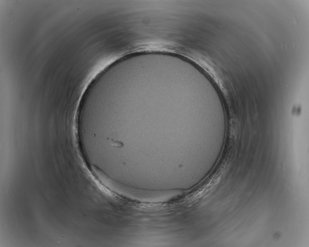 X0000098231285200805151332