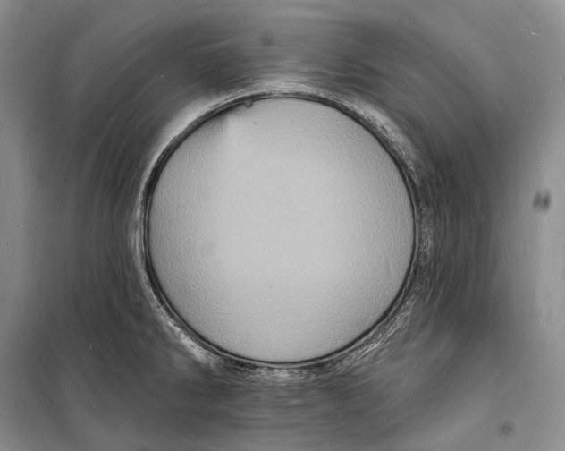 X0000098231286200805151332