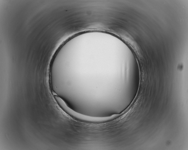 X0000098231288200805151332