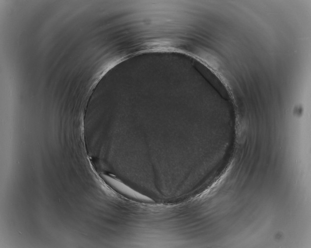 X0000098231289200805151332