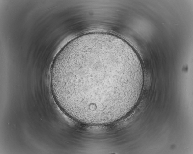 X0000098231290200805151332