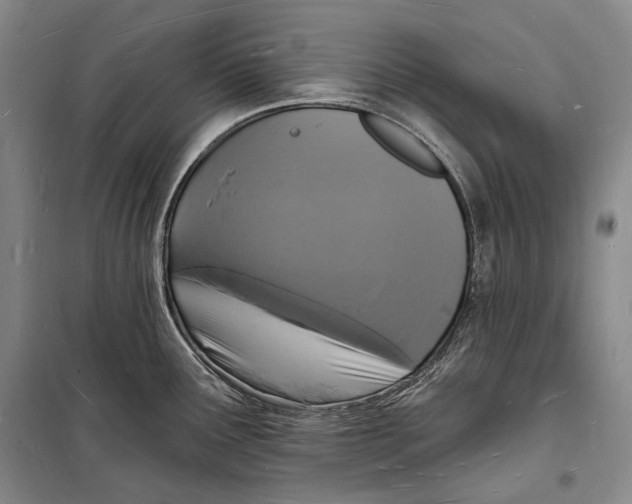 X0000098231291200805151332