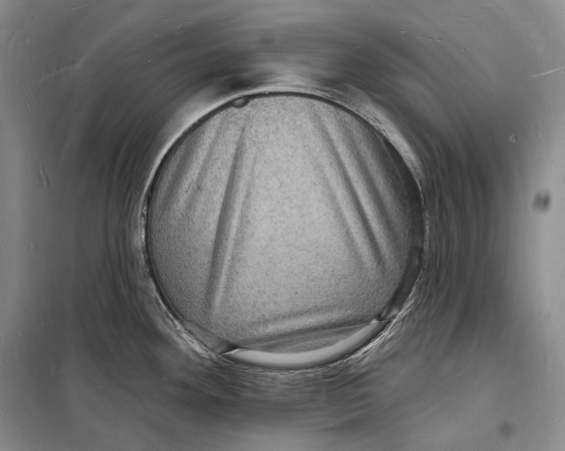 X0000098231292200805151332