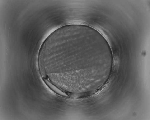 X0000098231293200805151332