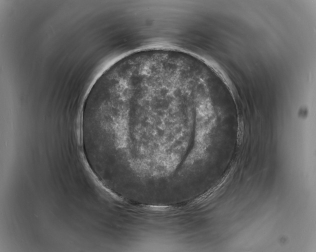 X0000098231295200805151332