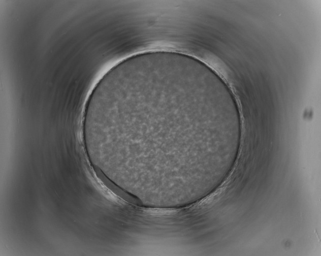 X0000098231296200805151332