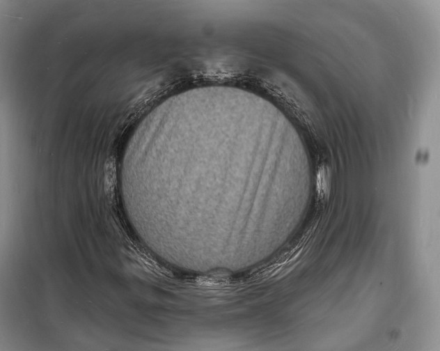 X0000098231299200805151331