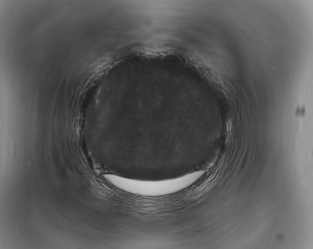 X0000098231300200805151331