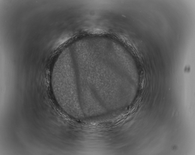 X0000098231301200805151331