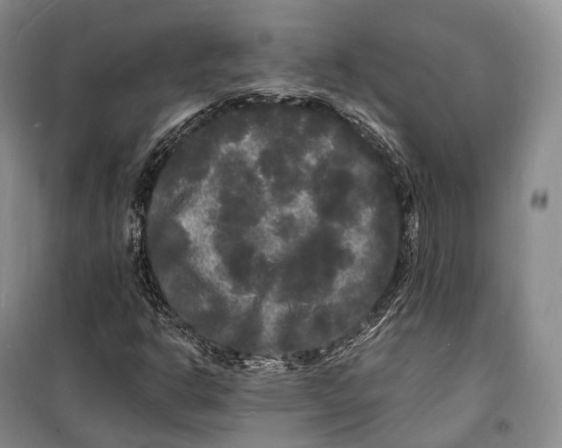 X0000098231302200805151331