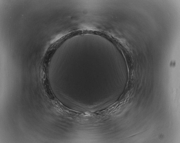 X0000098231303200805151331