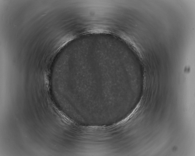 X0000098231305200805151331