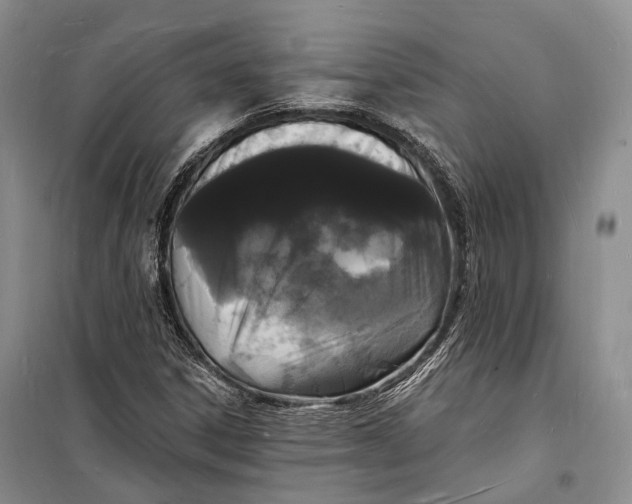 X0000098231306200805151331