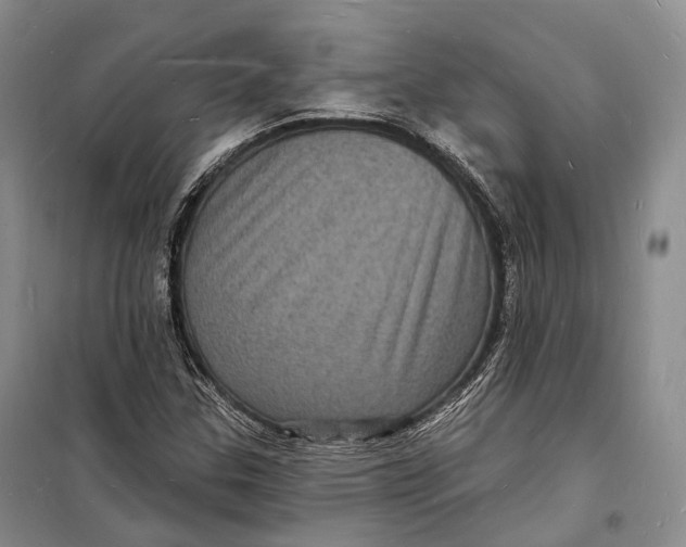 X0000098231307200805151331