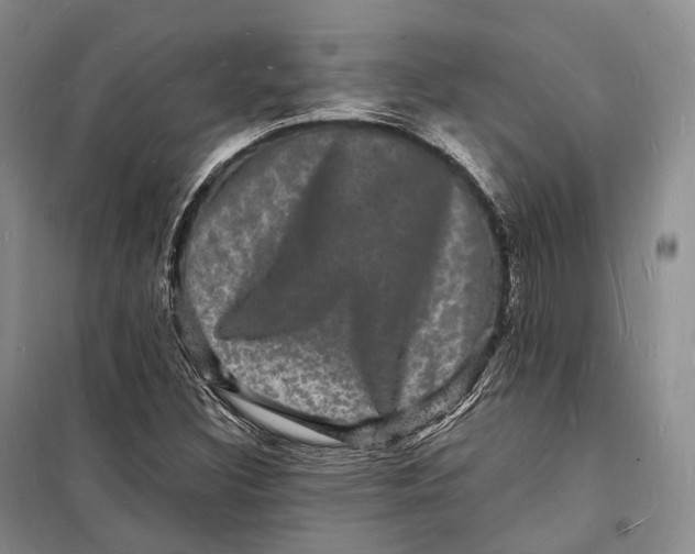 X0000098231308200805151331