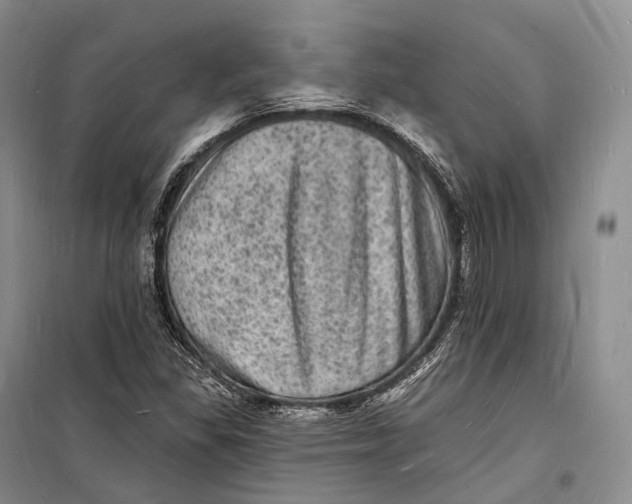 X0000098231309200805151331