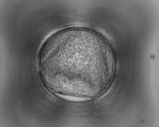 X0000098231310200805151331