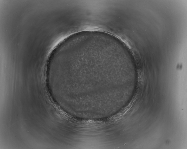 X0000098231311200805151331